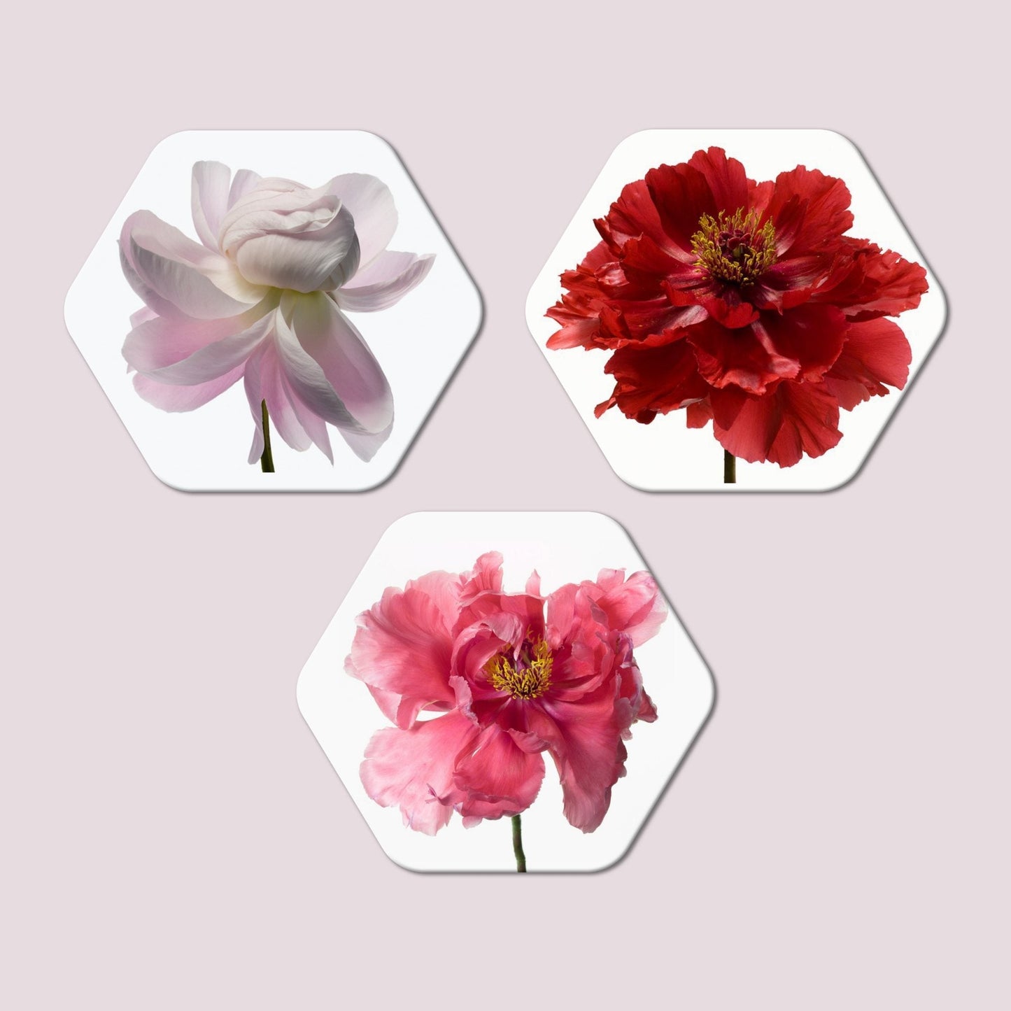 Beautiful Flowers Hexagon Wall Painting Set of Three