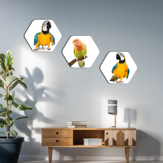 Hexagon Painting of Parrots Set of 3