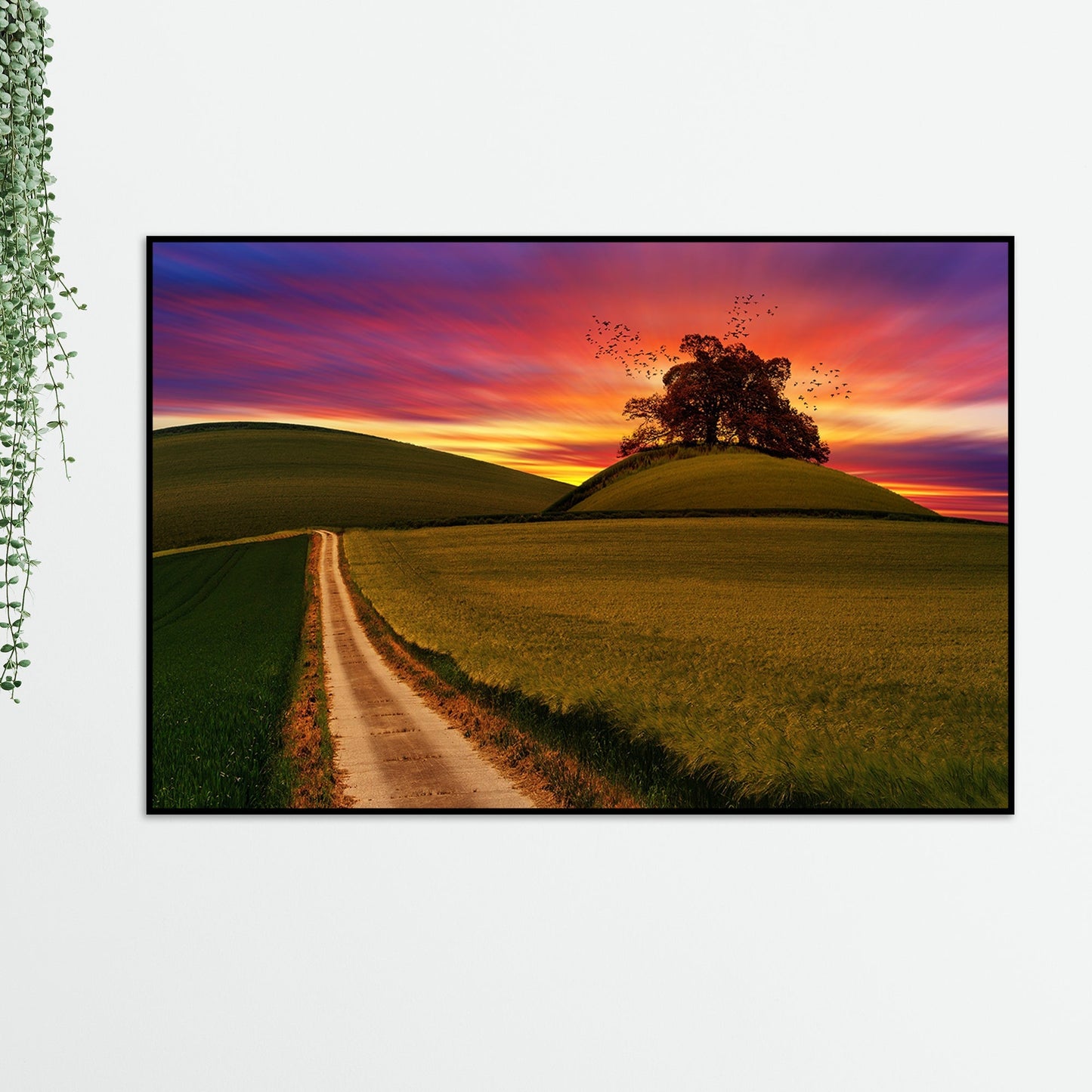 Sunset Grass Field Wall Painting Floating Canvas