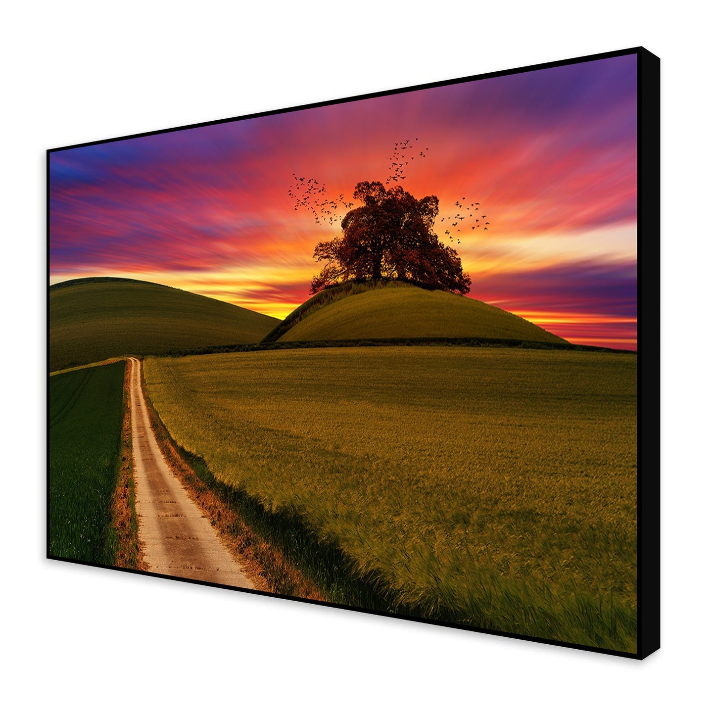 Sunset Grass Field Wall Painting Floating Canvas