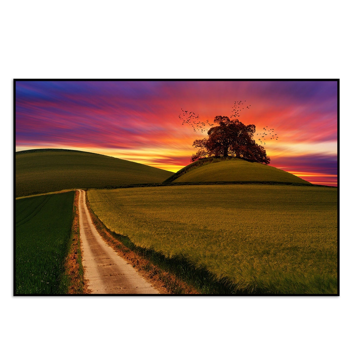 Sunset Grass Field Wall Painting Floating Canvas