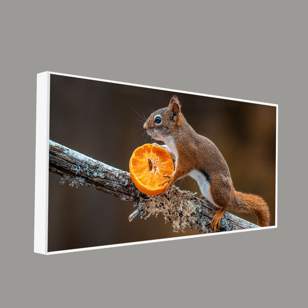 Squirrel on Tree Branch Premium Wall Painting